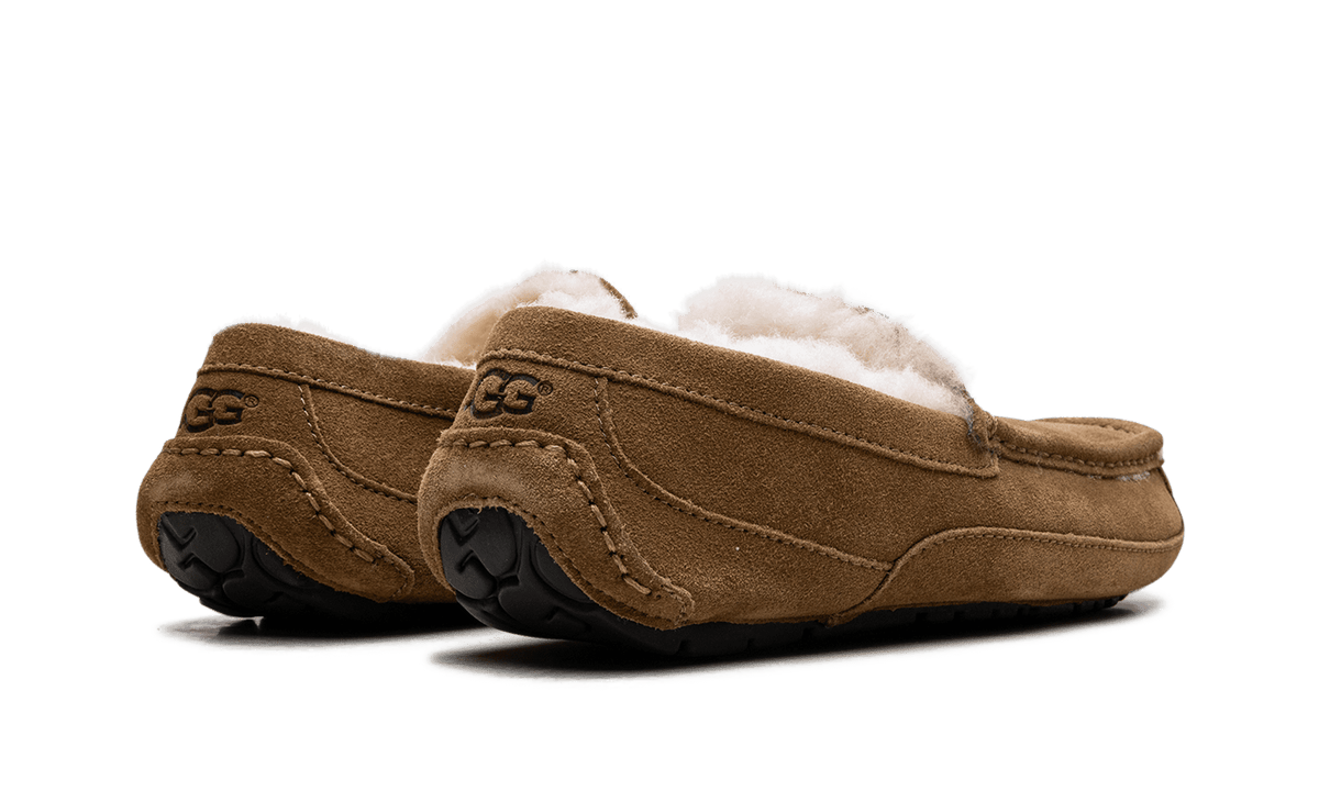 UGG MENS Australia Ascot Moccasin 1101110 CHE 1101110 CHE from Stadium Goods