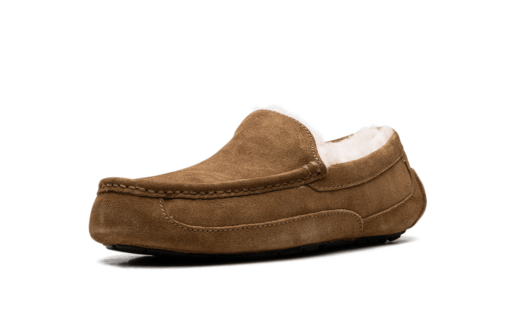 UGG MENS Australia Ascot Moccasin 1101110 CHE 1101110 CHE from Stadium Goods